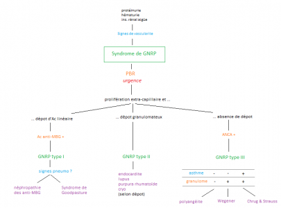 Glomérulonéphrite Rapidement Progressive - MedG